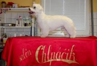 /album/klbka/images-jpg/